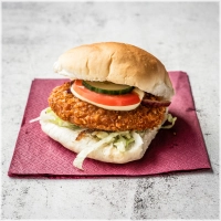 incl. gebakken ui, sla komkommer en tomaat.